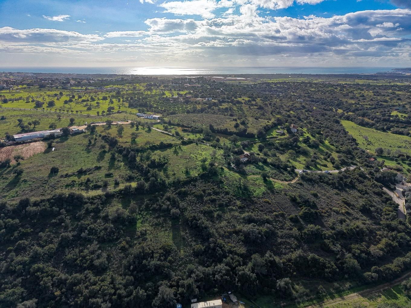 Terreno Misto com ruina, 21.760m² em Vale de Parra
