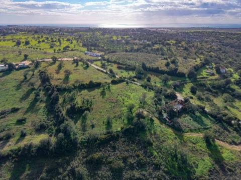 Terreno Misto com ruina, 21.760m² em Vale de Parra