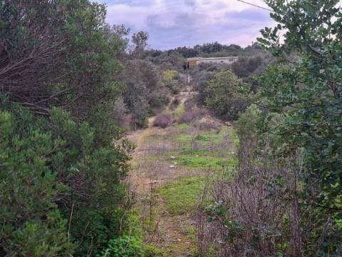 Terreno Misto com projeto aprovado para armazém - 1.100 m2