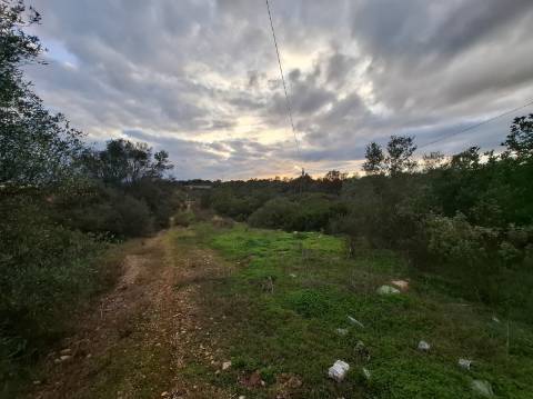 Terreno Misto com projeto aprovado para armazém - 1.100 m2