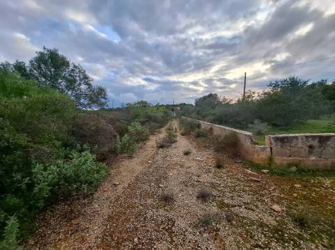 Terreno Misto com projeto aprovado para armazém - 1.100 m2