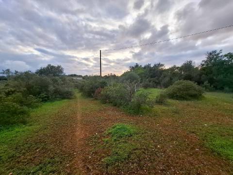 Terreno Misto com projeto aprovado para armazém - 1.100 m2