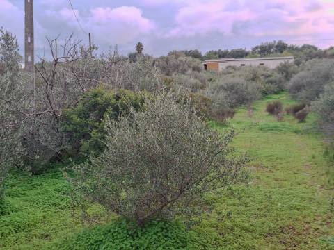 Terreno Misto com projeto aprovado para armazém - 1.100 m2
