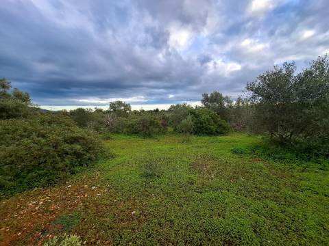 Terreno Misto com projeto aprovado para armazém - 1.100 m2