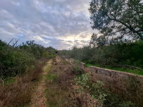 Terreno Misto com projeto aprovado para armazém - 1.100 m2