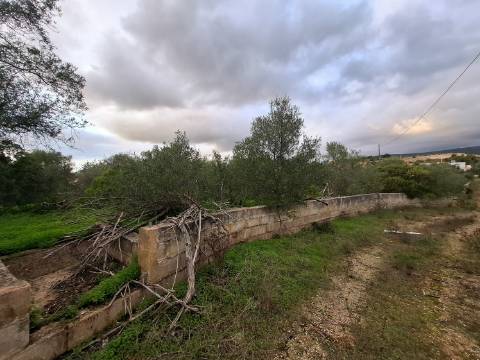 Terreno Misto com projeto aprovado para armazém - 1.100 m2
