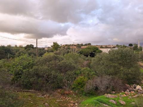 Terreno Misto com projeto aprovado para armazém - 1.100 m2