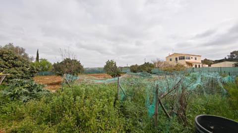 Moradia em lote de 2.587 m2, perto das praias de Quinta do Lago e Vale do Lobo