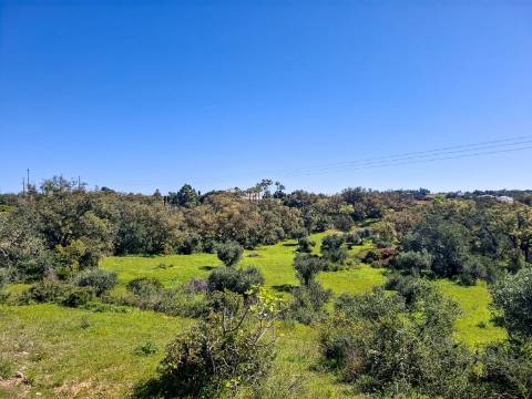 Terreno Rústico com Vista Mar – Guia / Albufeira