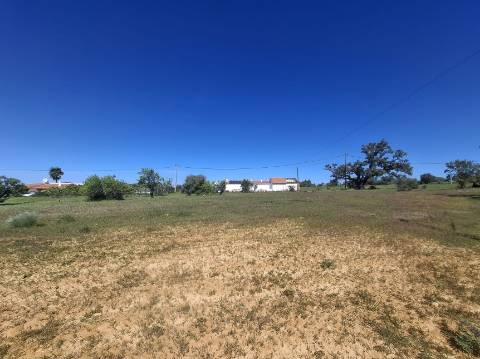Terreno Rústico com Vista Mar – Guia / Albufeira