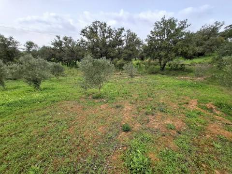Terreno Rústico com Vista Mar – Guia / Albufeira