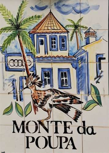 Terreno Rústico com Vista Mar – Guia / Albufeira