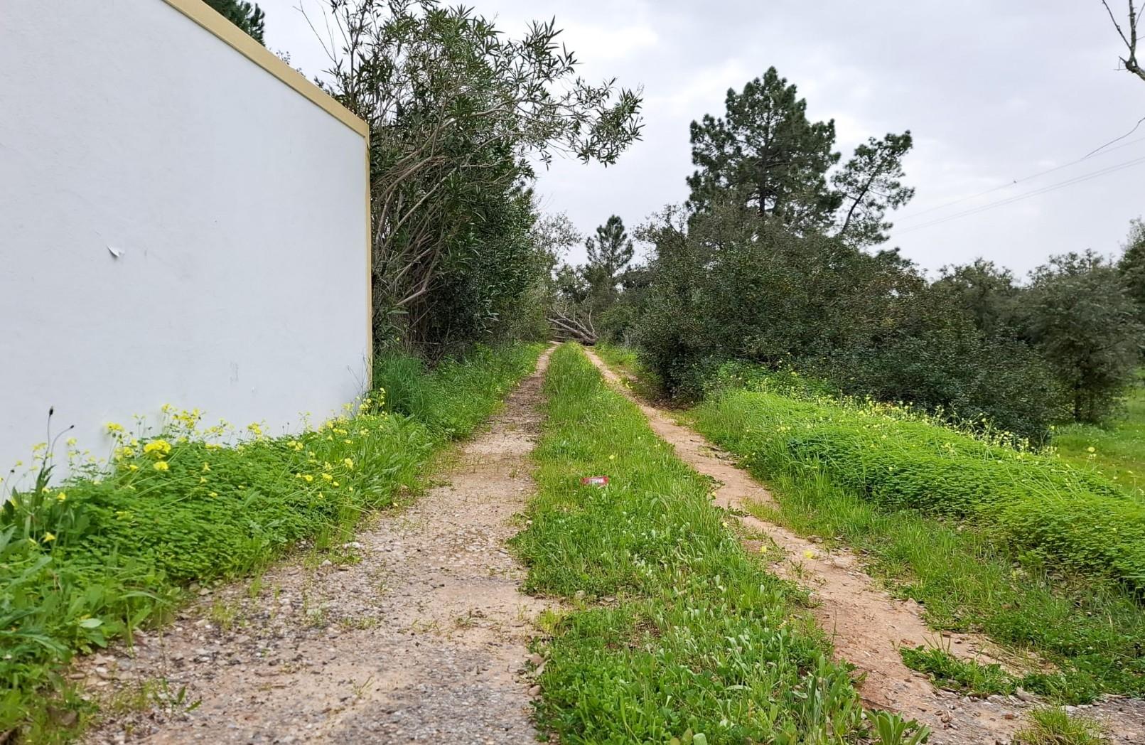 Terreno Rústico com Vista Mar – Guia / Albufeira