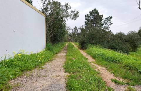 Terreno Rústico com Vista Mar – Guia / Albufeira