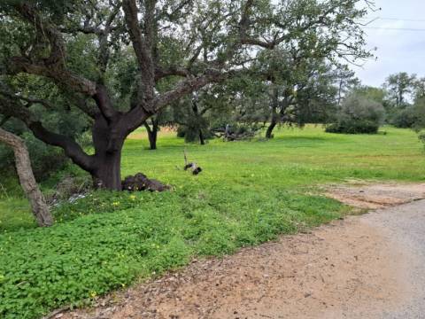 Terreno Rústico com Vista Mar – Guia / Albufeira
