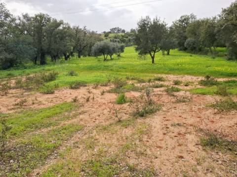 Terreno Rústico com Vista Mar – Guia / Albufeira