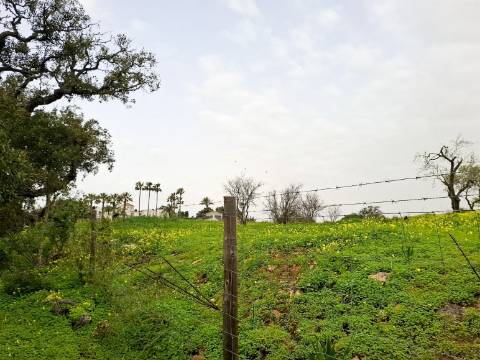 Terreno Rústico com Vista Mar – Guia / Albufeira