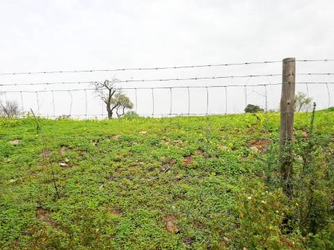 Terreno Rústico com Vista Mar – Guia / Albufeira