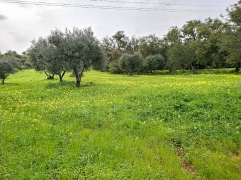 Terreno Rústico com Vista Mar – Guia / Albufeira