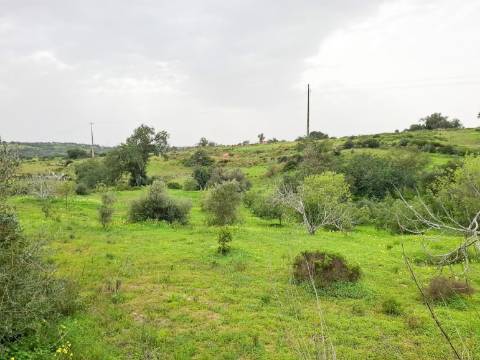 Terreno Rústico com Vista Mar – Guia / Albufeira