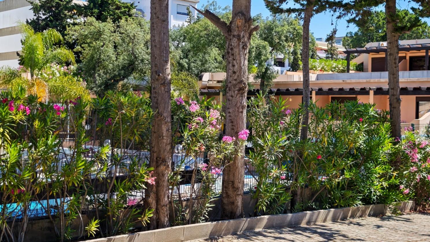 Apartamento na Balaia perto da praia - Habitação