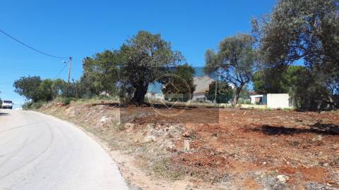 Terreno Urbano -  Alcantarilha, Silves