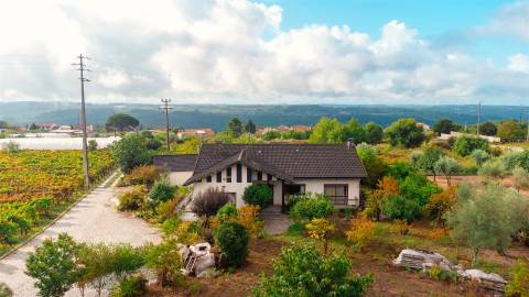 Moradia T3 com vinha em Fragosela - Viseu