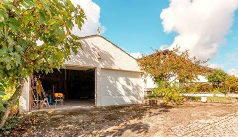 Moradia T3 com vinha em Fragosela - Viseu