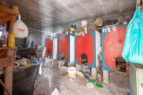 Moradia T3 com vinha em Fragosela - Viseu