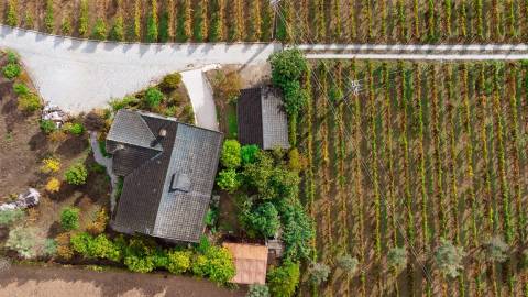 Moradia T3 com vinha em Fragosela - Viseu