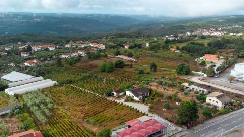 Moradia T3 com vinha em Fragosela - Viseu