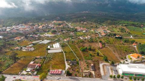 Moradia T3 com vinha em Fragosela - Viseu