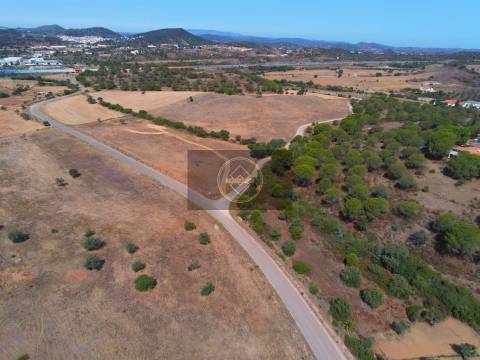 Quinta com 12 hectares -S. Bartolomeu de Messines
