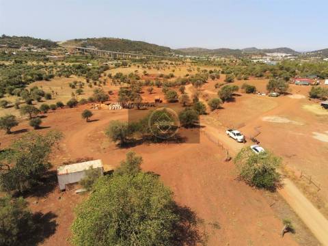 Quinta com 12 hectares -S. Bartolomeu de Messines
