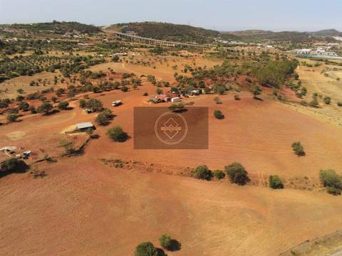 Quinta com 12 hectares -S. Bartolomeu de Messines