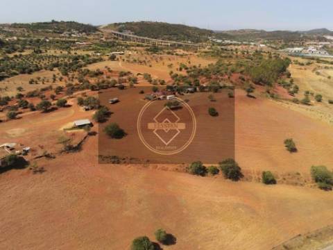 Quinta com 12 hectares -S. Bartolomeu de Messines