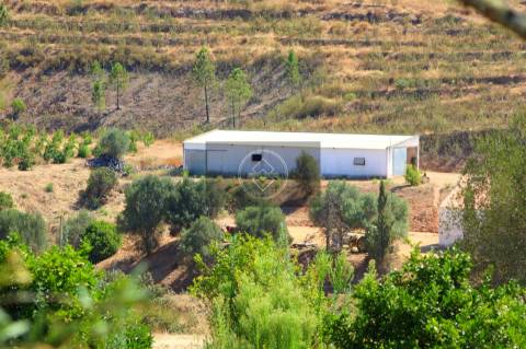 Herdade com 218ha para Venda- Monchique