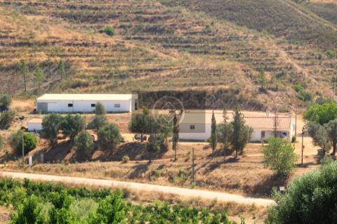 Herdade com 218ha para Venda- Monchique