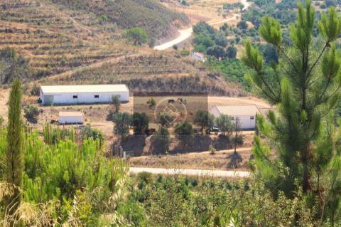 Herdade com 218ha para Venda- Monchique