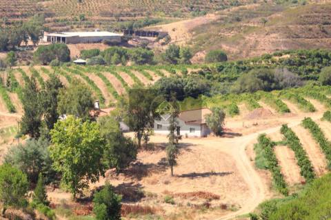 Herdade com 218ha para Venda- Monchique