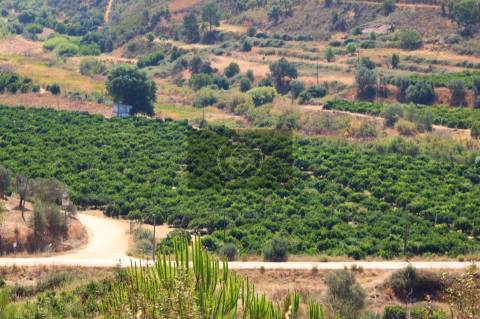 Herdade com 218ha para Venda- Monchique