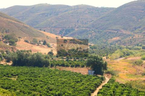 Herdade com 218ha para Venda- Monchique