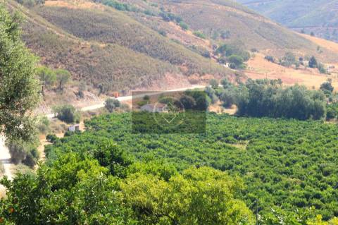 Herdade com 218ha para Venda- Monchique