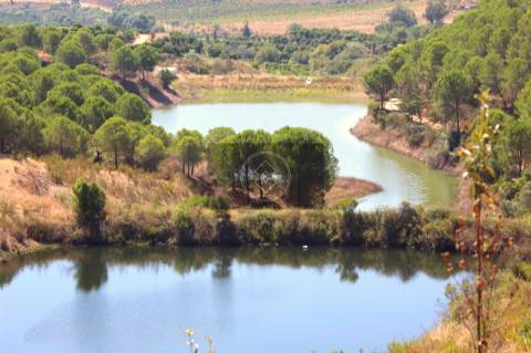 Herdade com 218ha para Venda- Monchique