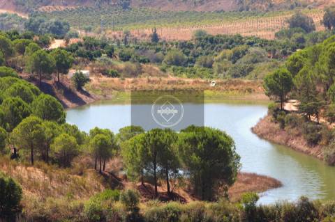 Herdade com 218ha para Venda- Monchique