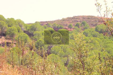 Herdade com 218ha para Venda- Monchique