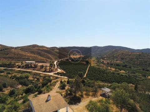Herdade com 218ha para Venda- Monchique