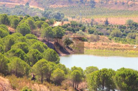 Herdade com 218ha para Venda- Monchique