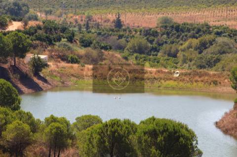 Herdade com 218ha para Venda- Monchique