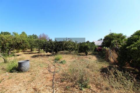 Moradia T5 com 4000m² de Terreno- Luz de Tavira